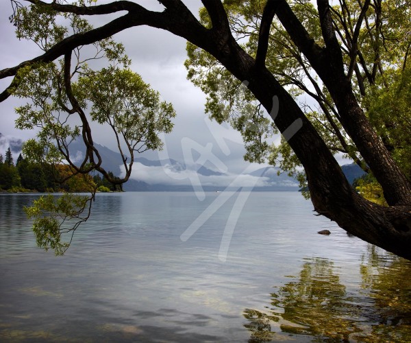 NEW ZEALAND Lake Wakatipu